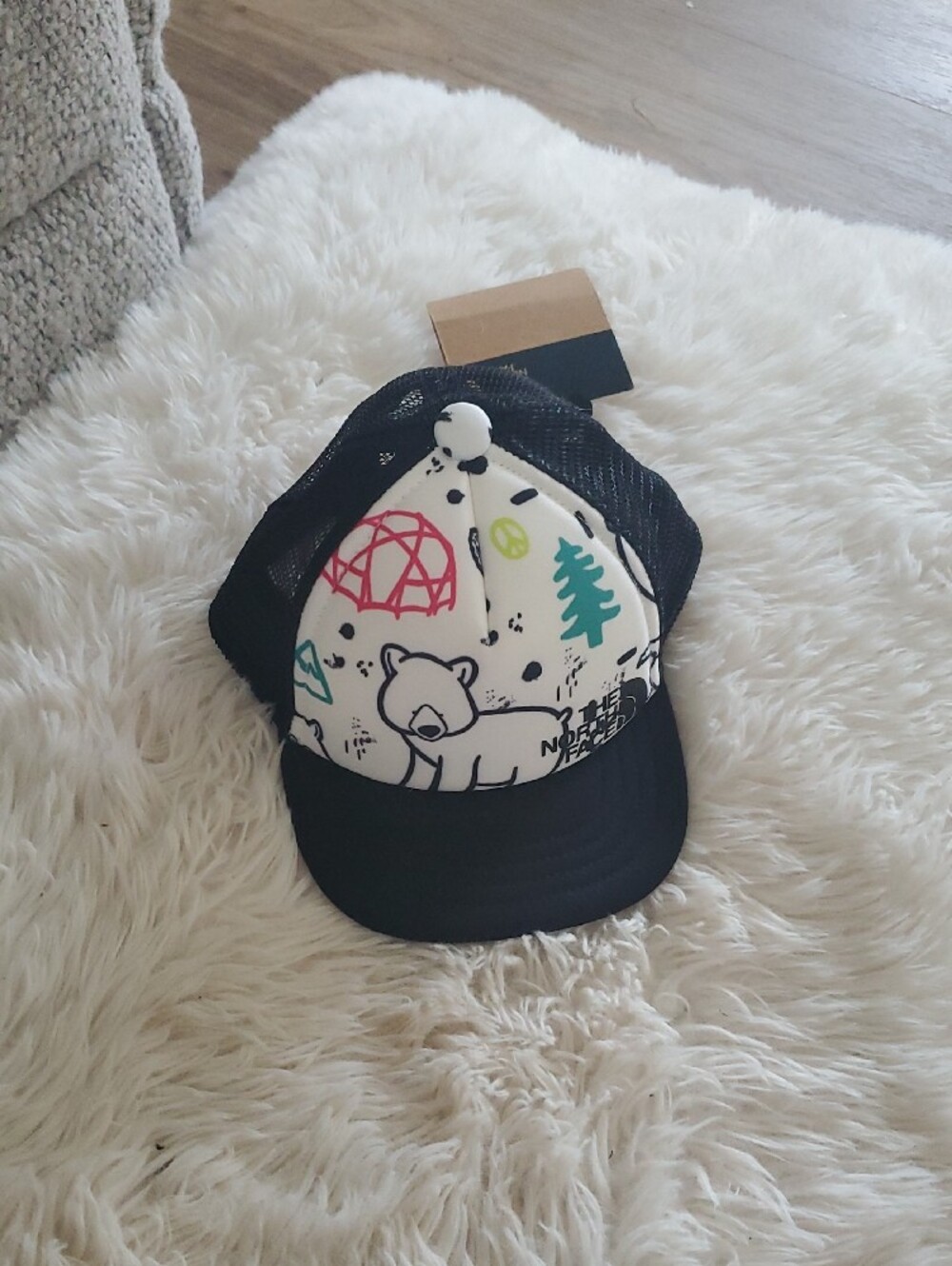 The North Face Kids Black Mesh Trucker Hat with Multicolor Graphic